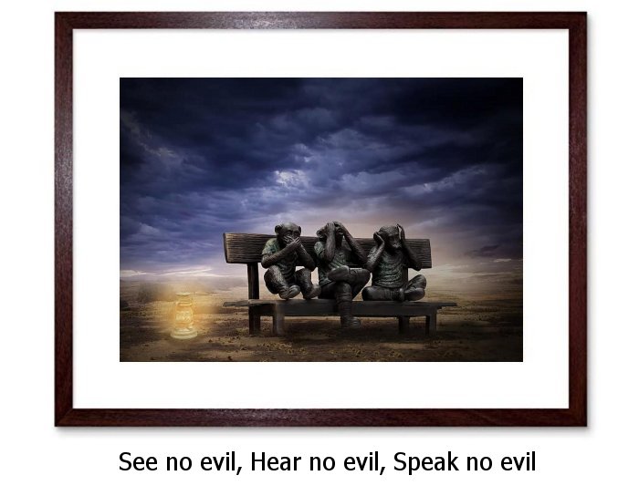  See No Evil Framed Print
